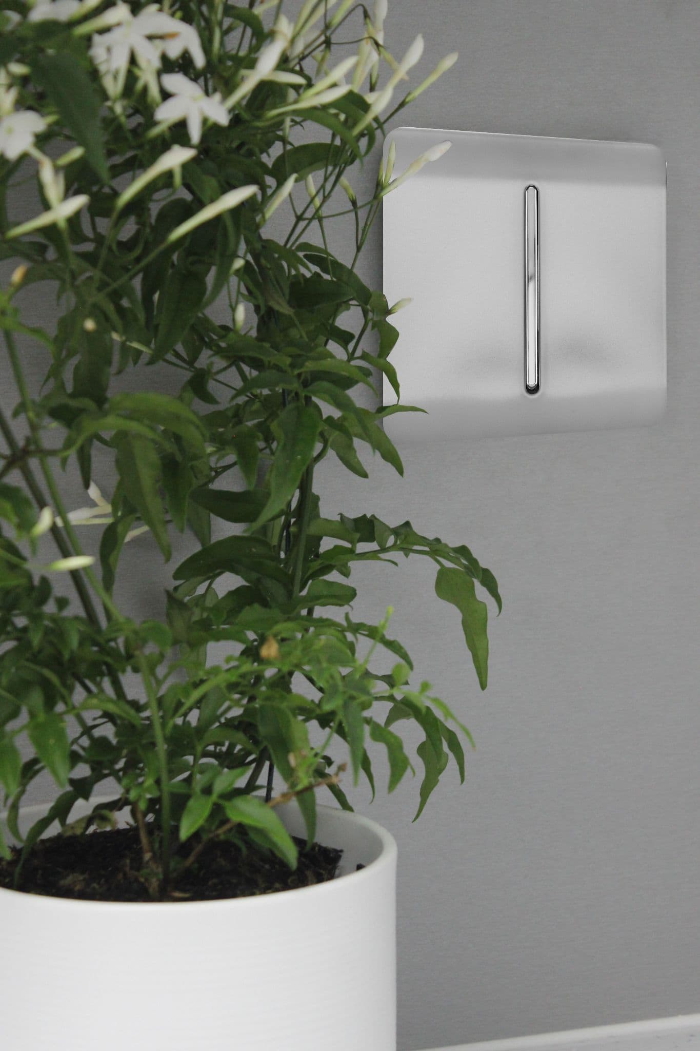 Brushed Steel Wiring Accessories Trendi Decorative Screwless Brushed Steel Wiring Accessories Trendi Decorative Screwless